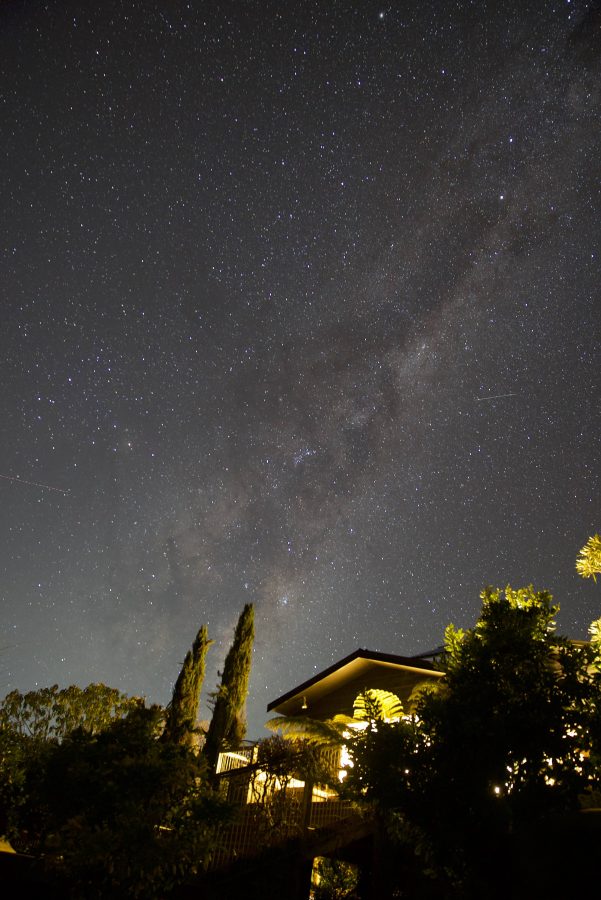 Stars in the Night Sky